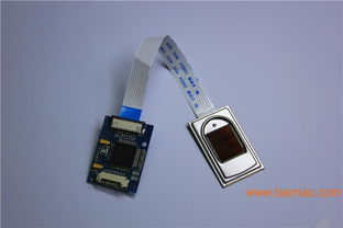 友博泰克嵌入式半導體采集指紋開發(fā)模塊 智能指紋鎖模塊的技術(shù)、生產(chǎn)與價格分析